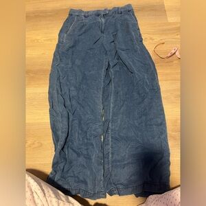 American Eagle Outfitters Light Blue Trousers